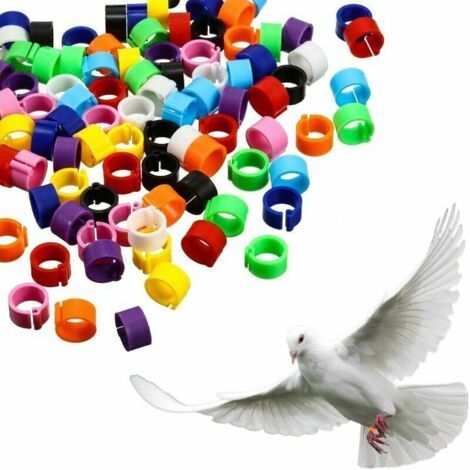 300 Pièces 8 mm Jambe d'Anneau d'Oiseau Bague de Pied de Pigeon Multicolores en Plastique Clip sur les Anneaux de Jambe，Couleu (1/4)