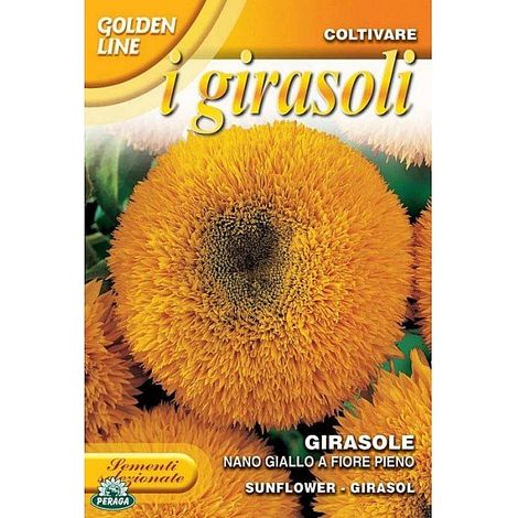 Sementi di Girasole nano giallo a fiore pieno fiori giardino semi
