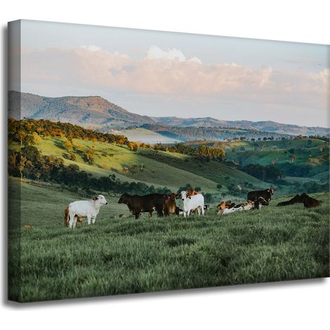 Leinwanddruck „Natur, Weide und Kühe“, 40 x 30 cm