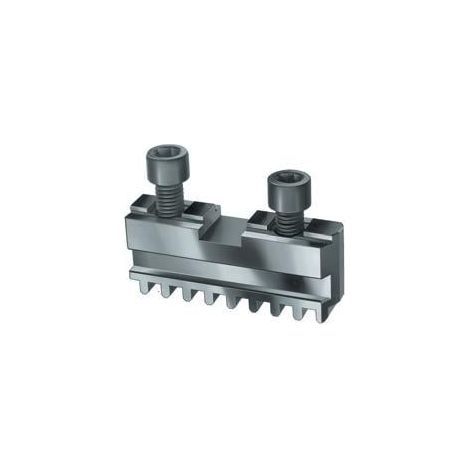 Mâchoire de base Röhm GB, taille 1000, jeu de 4 mâchoires, avec vis de fixation - 141611 (1/4)