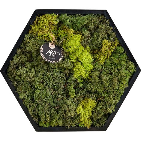 Mos schilderij Hexagon P38 (1/5)