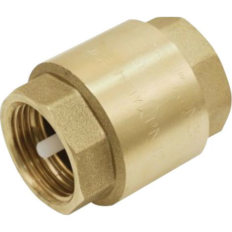 Clapet Anti-Retour - 3/4 Pouces - Filetage Standard Plomberie - Pression Max 10 Bars - Température Max 60 °C - Unité (1/2)
