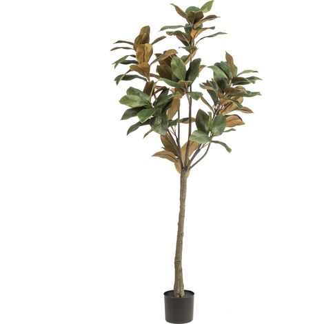 Plante Artificielle Magnolia Grandiflora Arbre Décoratif Tronc en Bois et Soie Vert 150 cm - PANGIVO (1/5)