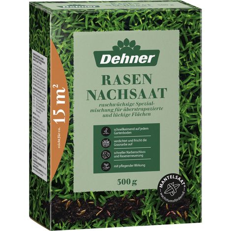 Dehner Sementi per prato, erba secca, miscela di semi di alta qualità, germinazione rapida, 300 g, per circa 25 m² (1/4)