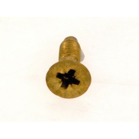 BOSCH Tornillo (10x), 87034020020