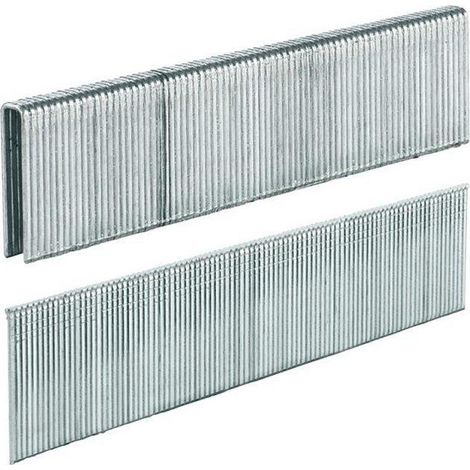 Einhell Set aus rostfreien Nägeln und Heftklammern
