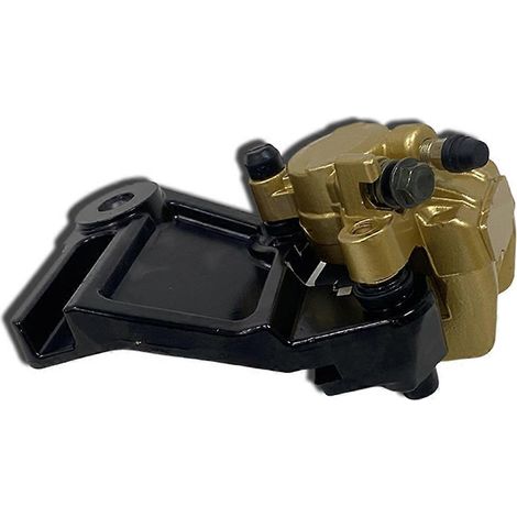 Maître-cylindre de frein arrière pour moteur de moto (1/5)