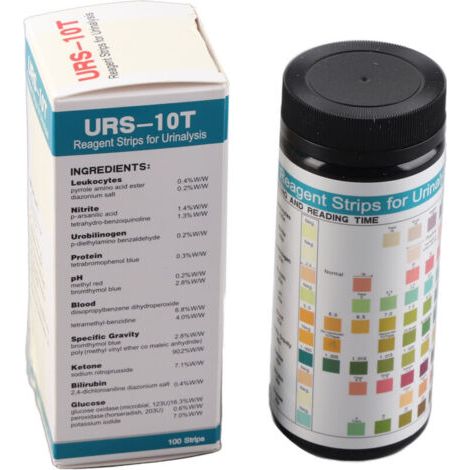 1 Flacon de 100 Bandelettes Urinaires à 10 Paramètres pour Analyser et Surveiller la Santé