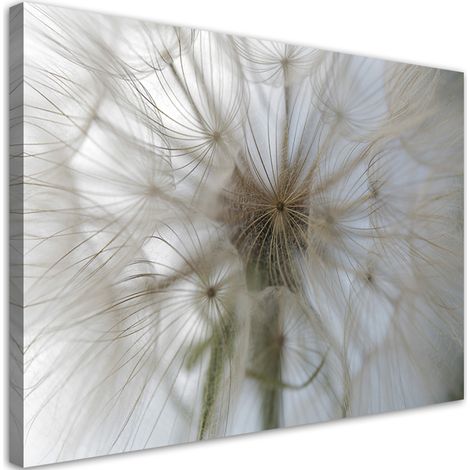 Quadro su tela, Dente di leone su scala macro - 90x60 (1/5)