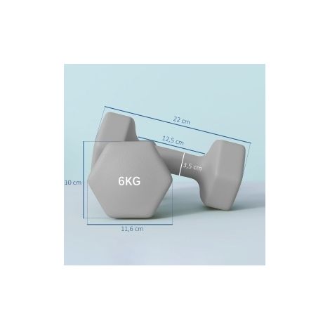 Set di manubri 2 x 6 kg, design esagonale antiscivolo, grigio HAVRYA (1/5)