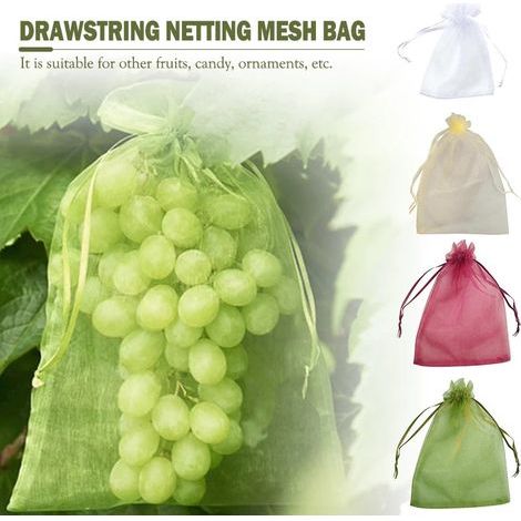 30 x 20 cm 100 pièces Sac Protection Fruits Sacs Filets Protection des Grappes de Raisins Contre Les Oiseaux et Insectes Guêpes Frelons (Vert Mousse) Google