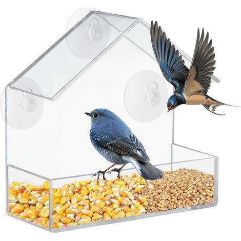 Distributeur de mangeoires pour oiseaux de fenêtre - 3 ventouses - 15x15x6cm - mangeoires - acrylique transparent - Mangeoire pour oiseaux (1/5)