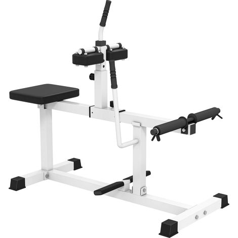 Macchina Fitness per Estensioni Seduta Regolabile per Allenamento Gambe Vita e Braccia Struttura in Acciaio Bianco (1/5)
