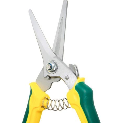 Rdeer Carbon Steel Foot Scissors for Goats and Sheep, Length 20.3 cm (1/5)