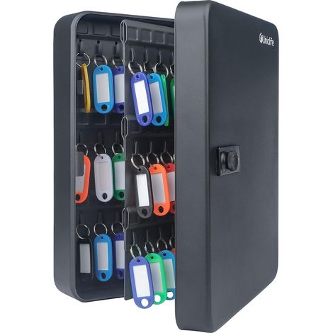 Armoire à Clés 100 Positions avec Serrure à Combinaison Réinitialisable Boîte à Clés Numérique Noire Organisateur de Clés en Acier avec Porte Clés Coloré Étiquettes Autocollantes et Crochets (1/5)