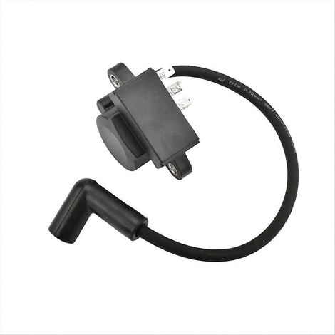 Module d'avance à l'allumage 24755172-S, compatible avec Kohler CH740 (1/5)