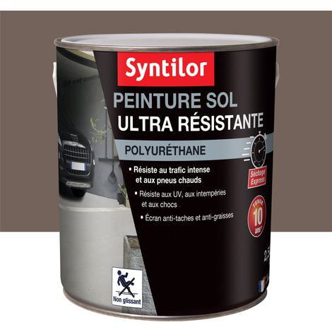 Peinture Sol Ultra Résistante Syntilor 2,5L Gris Roche (1/4)