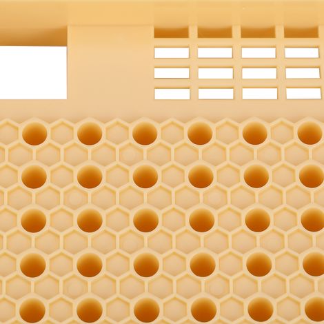 Kit d'élevage de reines, outil d'apiculture, ensemble de cages apicoles en plastique (1/5)