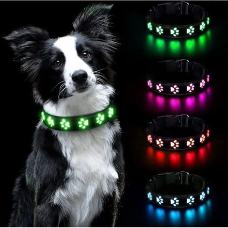 Collier lumineux pour chien - Taille S - Rechargeable - Étanche - Ajustable (1/4)