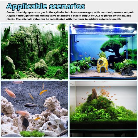 Régulateur de CO2 pour Aquarium avec Électrovanne Double Manomètre et Compte-bulles Décompresseur de Dioxyde de Carbone pour Plantes Aquatiques