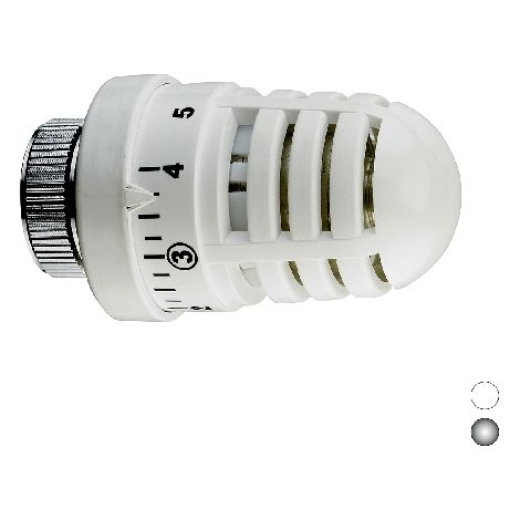 TESTA TERMOSTATICA CON SENSORE A LIQUIDO Bianco S.F. (1/2)