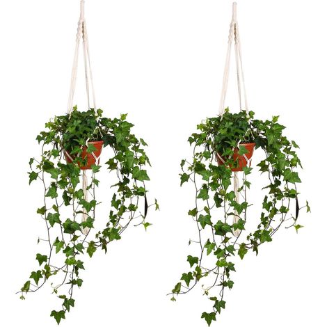 Support Pour Plante - Suspension En Corde Coton - Pour Intérieur Balcon Jardin - Hauteur 105 Cm - Lot De 1 (1/5)
