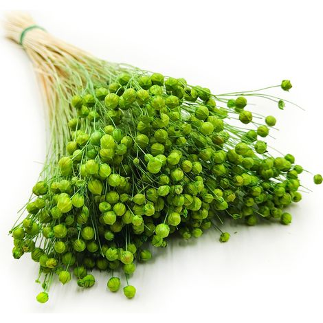 Lin séché - Vert