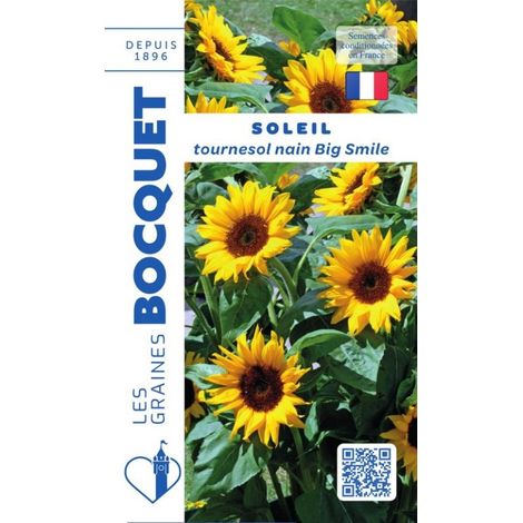 Soleil tournesol nain jaune Big Smile - 3g