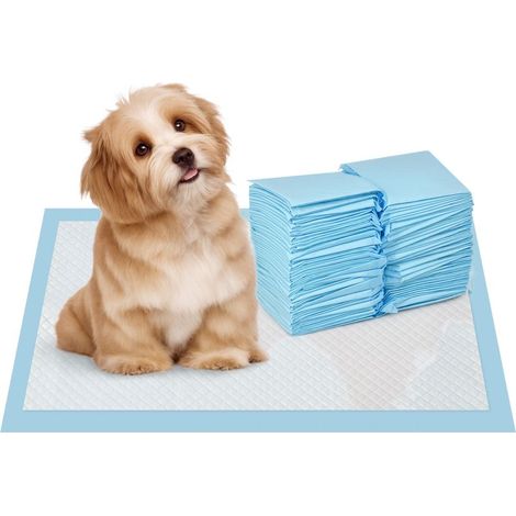 Packung mit 100 Hundetrainingspads, 6-lagig, Vliesstoff, Papier und PE, 45 x 30 cm, blau und weiß (1/5)