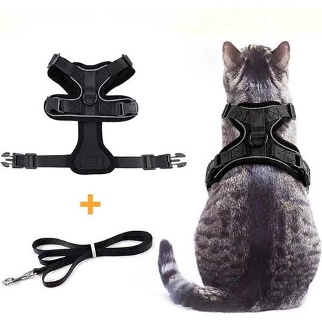 Harnais et laisse pour chat noir – 150 cm – Anti-évasion – Taille S (tour de cou 19-29 cm, poitrine 26-45 cm) – Bande réfléchissante – Respirant (1/4)