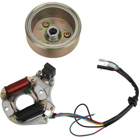 Kit Rotor Volant Magneto Stator pour Moteur 110cc 125cc PIT PRO PIT Bike Cross Trail (1/5)