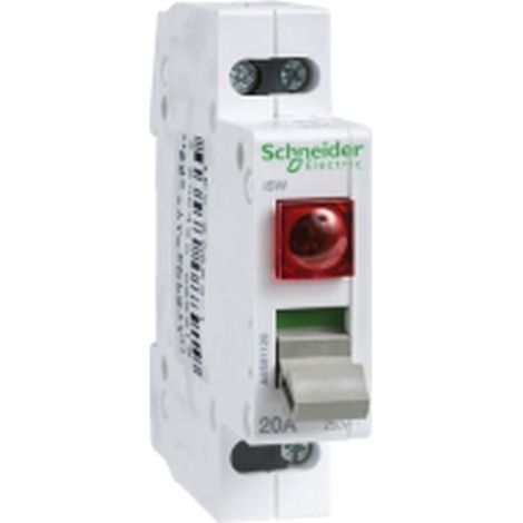 Interruptor seccionador ACTI 9 con piloto 2P 32A 250V y grado de protección IP4
