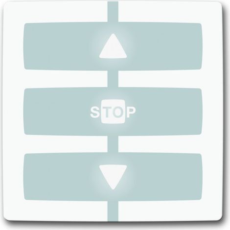 Nice – Module télécommande 1 canal WM001G – Contrôle motorisation Apre-Stop-Chiude – Compatible avec portails et portes de garage
