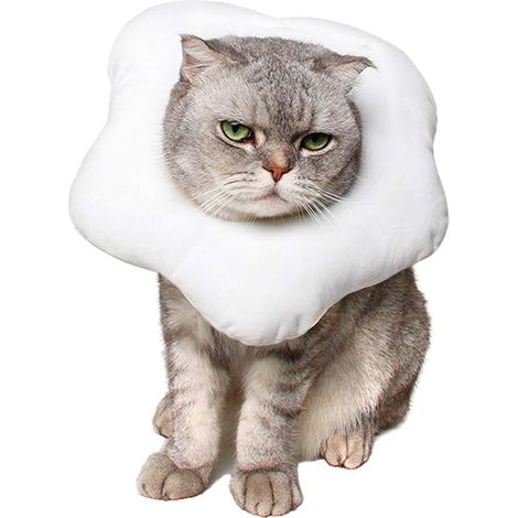 Collier de protection ajustable pour chat, collerette mignonne en forme de toast après une opération, collerette de protection pour la cicatrisation, collier élisabéthain de récupération post-opératoi (1/5)