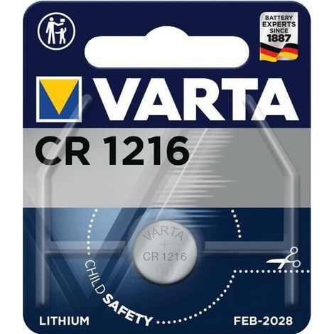 Batteria VARTA VT06216