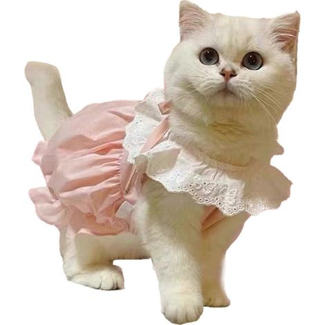 Robe pour animaux de compagnie mignonne, fine, confortable et respirante pour chat et chien maltais, rose, taille XS. Idéale pour le printemps et l'été. (1/2)