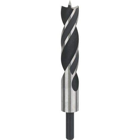 Bosch Professional Punta Elicoidale (per Legno, Ø 28 Mm, Accessori Trapani)