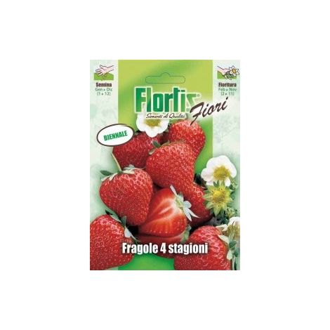 FRAGOLA 4 STAGIONI (1/2)