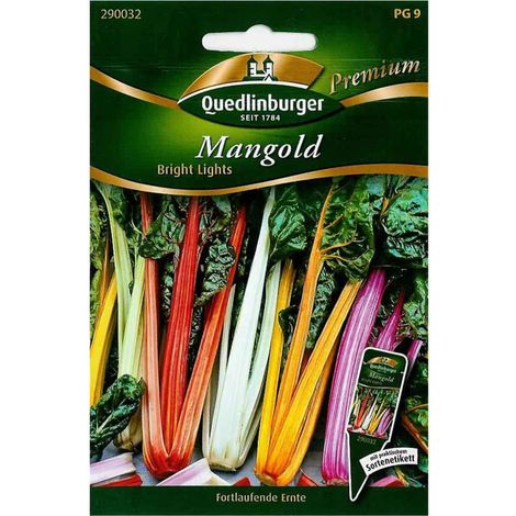 Quedlinburger Mangold Bright Lights - Premium Gemüsesamen (1/2)