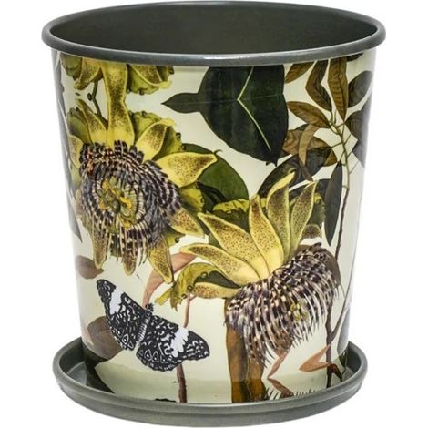 Kew Botanical Retreat Planter with Saucer - Mild Steel - L14 x W14 x H16 cm - Green