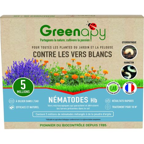 Nématodes HB anti vers blancs 5M – Lutte biologique contre ravageurs – Pour 10m² de cultures sensibles – Application par arrosage – Biotop