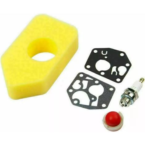 Gilt für Briggs & Stratton Reparatursets 495770, 795083, 698369 und 698719 (1/5)