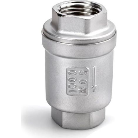 1 clapet anti retour, 1 "BSP femelle acier inoxydable 304 vertical en ligne clapet à ressort, anti retour (1/5)