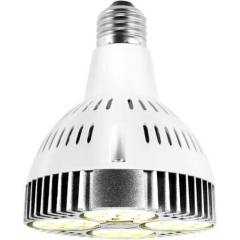 Ampoule LED E27 20W, spectre de croissance des plantes, lumière blanche chaude, pour jardin intérieur et serre (1/4)