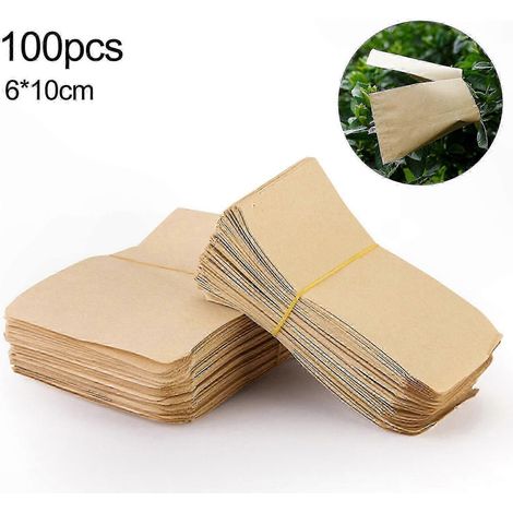 100 sachets de rangement en papier kraft naturel, adaptés au rangement de graines et de pièces de monnaie, dimensions 6 x 10 cm. (1/5)
