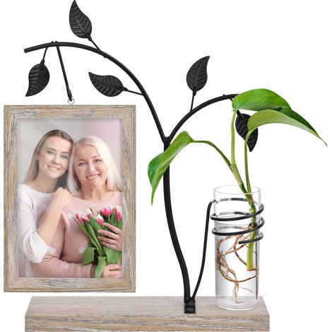 Geschenk für Mama, Tochter, Sohn Geschenkidee zum Muttertag Geburtstagsgeschenk für Mama Geschenk für Oma Bilderrahmen aus Holz mit Hydrokulturpflanzen für Zuhause, Büro und Garten (1/5)