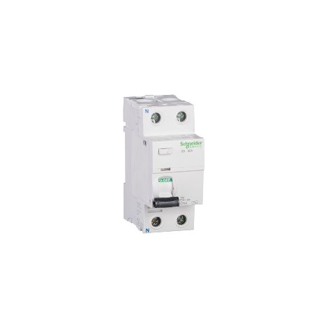 Interruttore differenziale iID 2P 100A 30mA Tipo AC - A9R11291