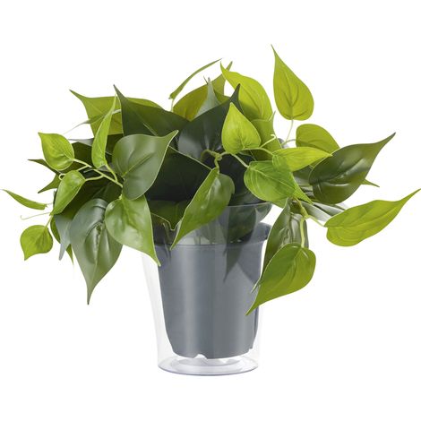 Pianta Finta con Vaso Trasparente Arredo Casa Interno Plant GD Trio (1/2)
