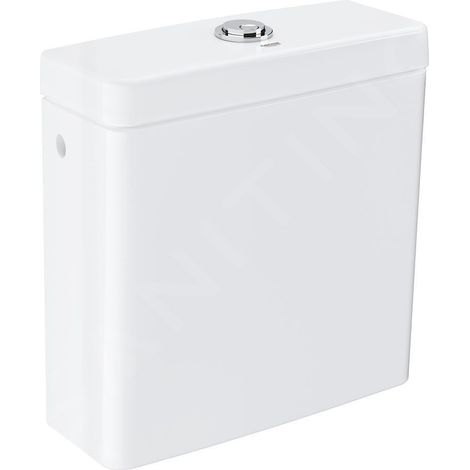 Cuvette de chasse à poser Essence en céramique 39578 raccord côté, blanc alpin (1/4)