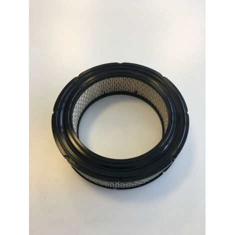 Filtro dell'aria per motore Briggs e Stratton